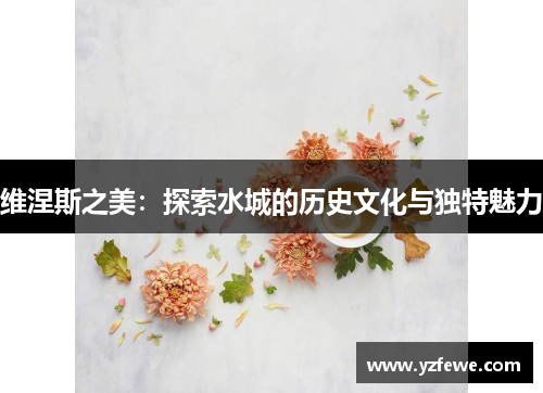 维涅斯之美：探索水城的历史文化与独特魅力